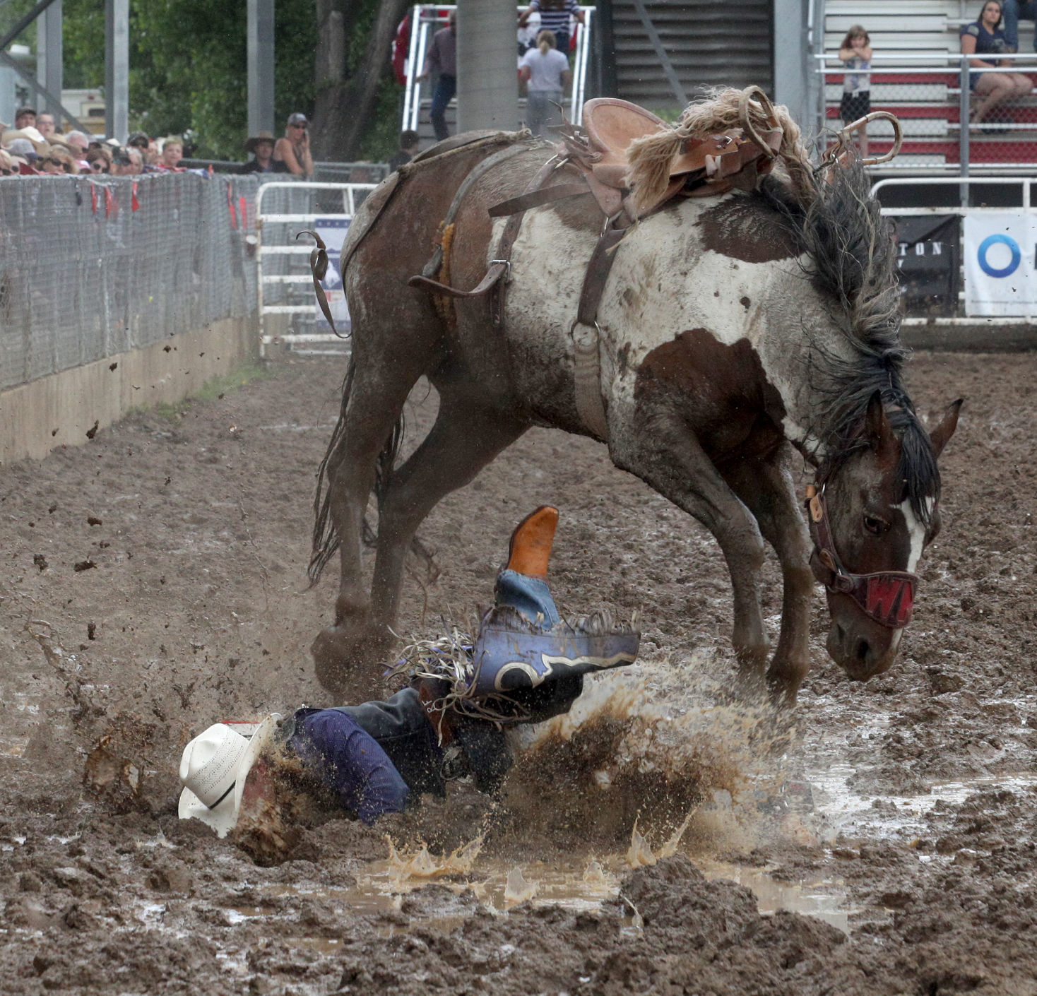 Black Hills Roundup 1.jpg